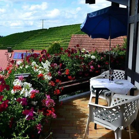 Apartment Haus Bachschwalbe *