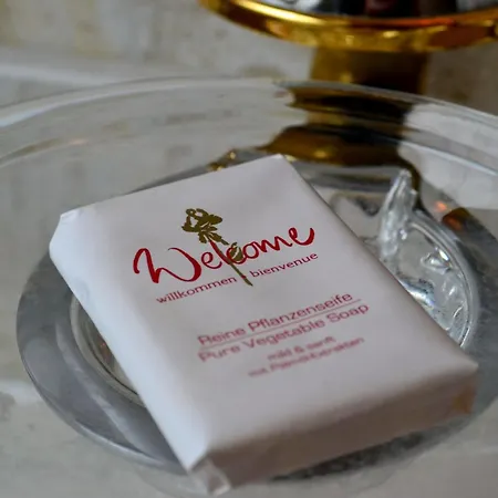 Haus Bachschwalbe Διαμέρισμα Sasbachwalden