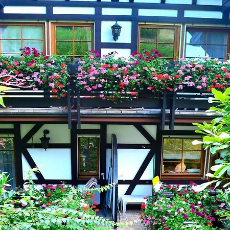 شقة Haus Bachschwalbe