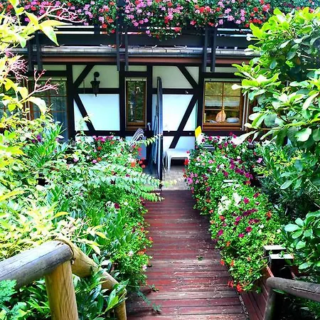 Haus Bachschwalbe Apartment Sasbachwalden